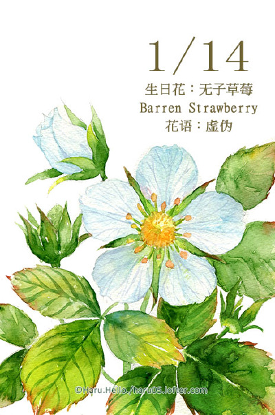 微博：@豆芽君的haru酱 