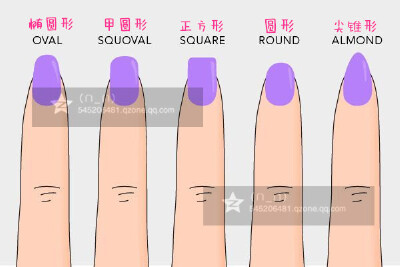 【美丽指甲】 每一个漂亮的女孩都会有最一个亮点，那就是美丽的指甲，而塑造你的指甲最好的方法就是用指甲锉，用剪刀修剪下来的指甲缺点太多，为了避免这种情况，要先留到你想要的指甲长度，再找出适合自己的指甲形…