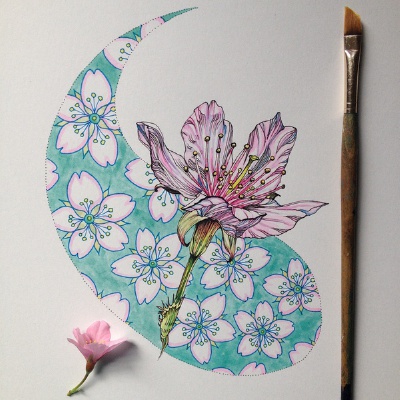 插画家Noel Badges Pugh在Tumblr上的素描作品，包括了不同类型的花的描绘，逼真、细致。