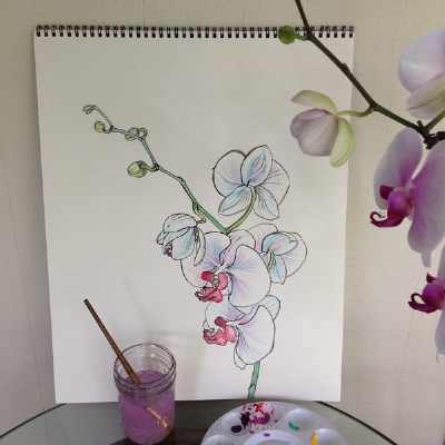 插画家Noel Badges Pugh在Tumblr上的素描作品，包括了不同类型的花的描绘，逼真、细致。