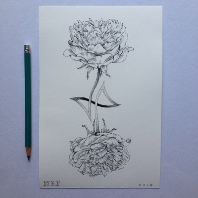 插画家Noel Badges Pugh在Tumblr上的素描作品，包括了不同类型的花的描绘，逼真、细致。