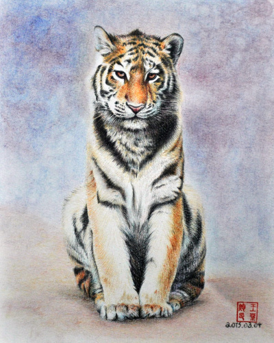 彩铅/ 20.3X25.4cm