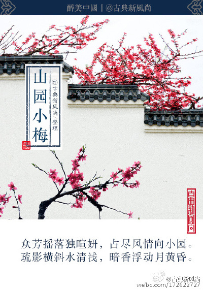 山园小梅