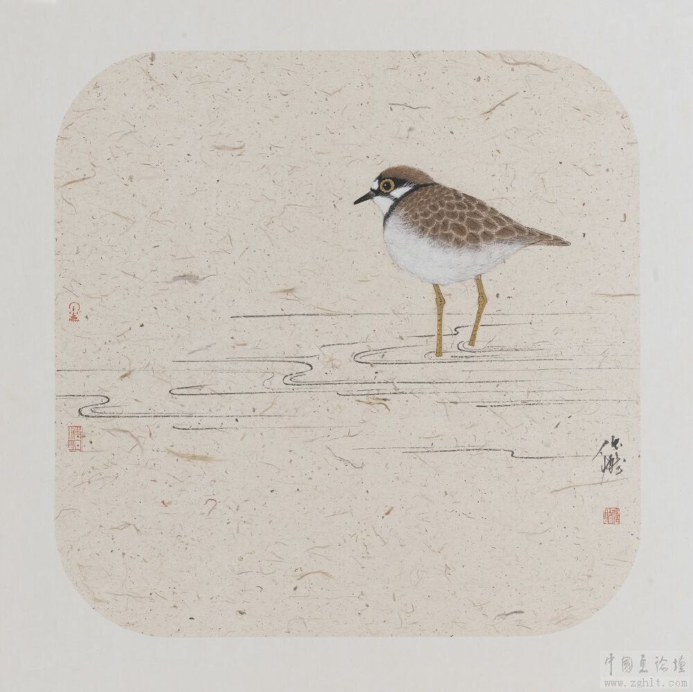 一只笨鸟