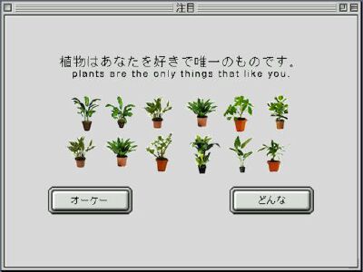 原宿