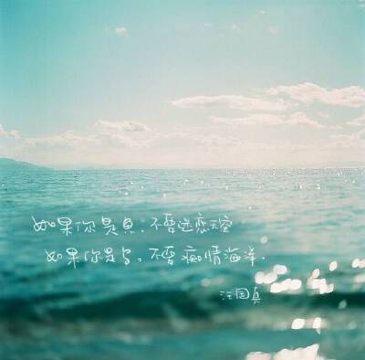 如果你是鱼，不要迷恋天空；如果你是鸟，不要痴情海洋。