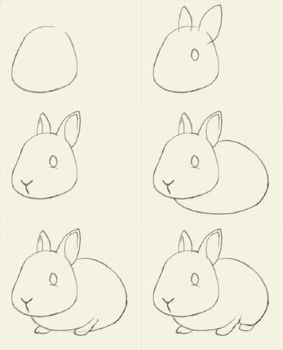 #绘画参考# #动物结构# #兔子# 来一起画兔子吧~