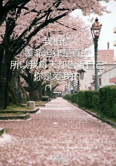 九十九封情书 也诉说不尽我爱你