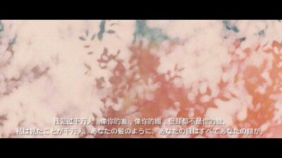 你是我的路人