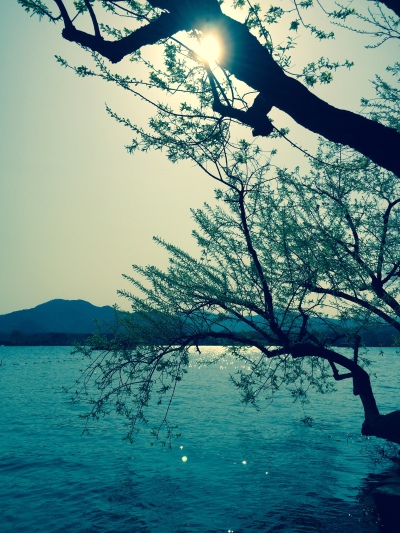 #风景#苹果6高清壁纸，iPhone 6 plus高清壁纸，不是高清我不发，更多同系列关注我主页，风景如画，美到不像话，旅行