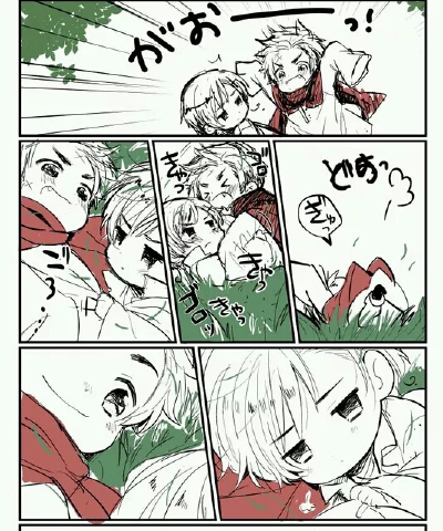 【Denmark x Norway 丁诺】ポチデンとポチノレ