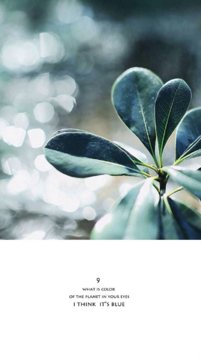 高清壁纸。