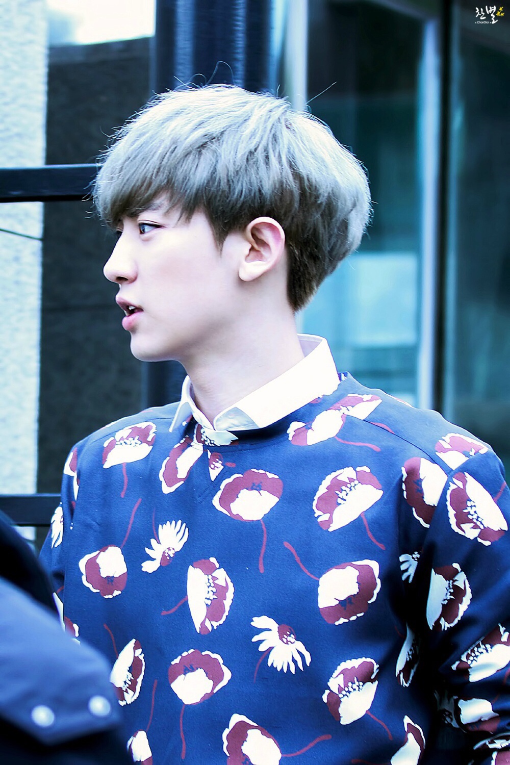 EXO 朴灿烈