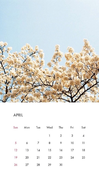 高清壁纸。