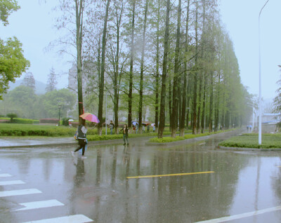 旅行 武汉大学