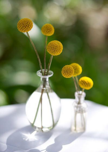 金槌花Craspedia globosa Benth.别名：金仗花、黄金球。高50~60厘米。叶窄披针形，有蜡质，被灰白色柔毛。花金黄色，由无数筒状花组成球形，花期7~8月。原产澳大利亚。是天然干花的优良花材。也是手捧花中一种比较常…