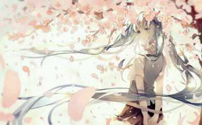 V家当家miku p站