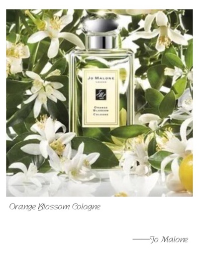 Jo Malone FL Orange Blossom Cologne Top: Clementine Flower Heart: White Lilac Base: Orris wood A shimmering garden oasis. Clementine flower sparkles over a heart of orange blossom and water lily, wit…