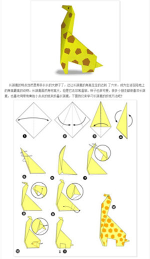 长颈鹿