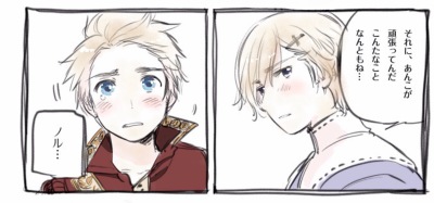 【Denmark x Norway 丁诺】 ノル……