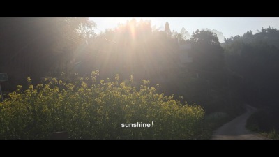 sunshine