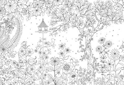 很多人都想要的Secret Garden 秘密的庭院 填色书 直接打印就可能啦~