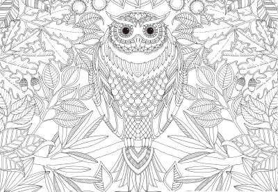 很多人都想要的Secret Garden 秘密的庭院 填色书 直接打印就可能啦~