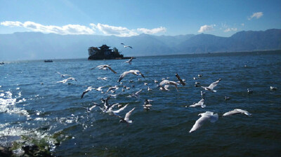 the power of the sea