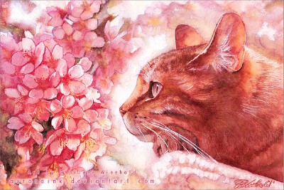 浓烈的色彩，生动的神韵 ~~ 德国水彩画家 Charlene Wienhold 笔下的猫咪。