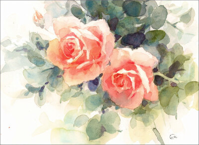 Watercolor rose by CMWATERCOLOR
