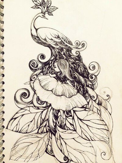 线描画
