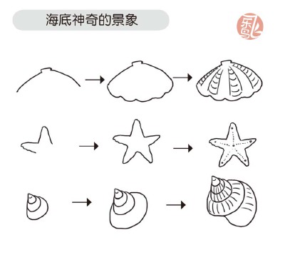 简单画出海底贝壳