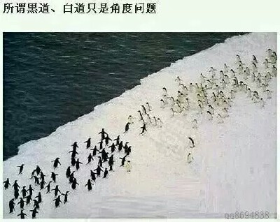 原来如此