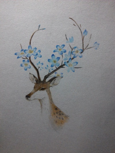 彩铅