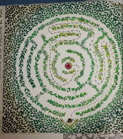 秘密花园，小蜜蜂所到之处，枯萎的叶子苏醒了！
