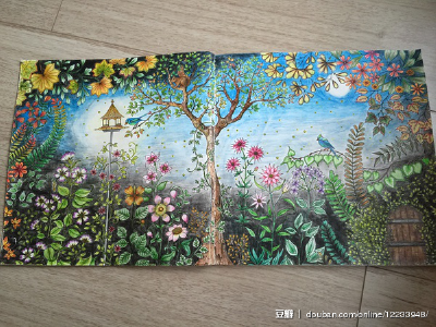 秘密花园，花园里的美丽。