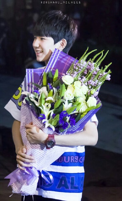 王源 tfboys 1108 cr:logo