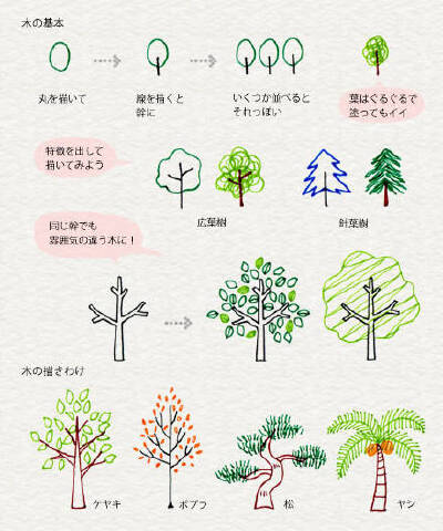 树木