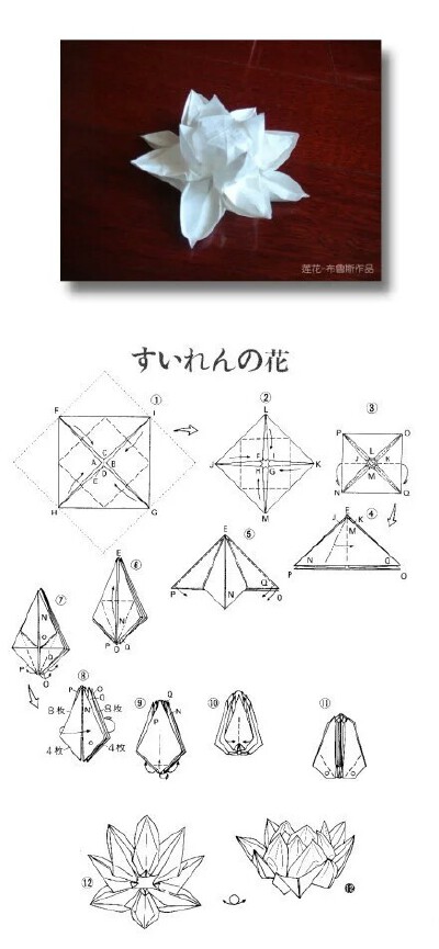 折纸白莲花