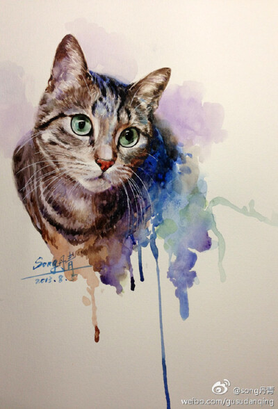 手绘水彩 猫 插画