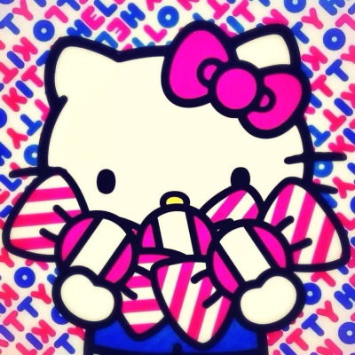 kitty是只胖猫咪~