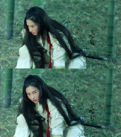 张柏芝《飞侠小白龙》【黑凤/小白龙】她出身富豪之家，原本是一名贵族学生，其独特气质、美丽容颜以及一流的演奏技巧，深得二皇子欢心，两人一见钟情。当众人认为他们是天造地设的一对，二人也预备全心投入感情时，…