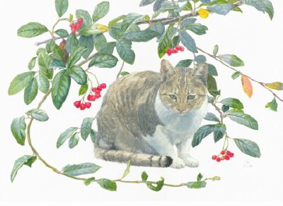 花儿与猫咪