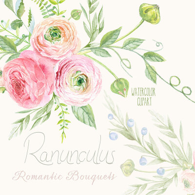 watercolor rose by Alexandra.