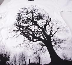 skull tree骷髅树