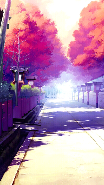 ° 美如画 * ·゜°○