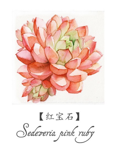 素材，临摹用