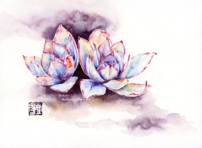 素材，临摹用