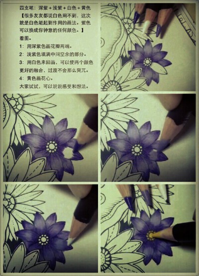 秘密花园绘画教程。文明拿图