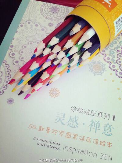《灵感·禅意》《灵感·复古》《灵感·花园》是三本拥有不同主题的涂色书，表面上行看起来和秘密花园差不多，实际上却大有不同，封面设计得非常小清新，非常适合文艺青年，内页插图也很精美，不管怎么涂都很美丽，涂完…
